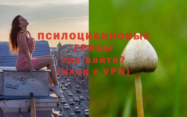 ALPHA-PVP Алексин