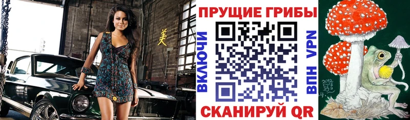 Купить где Ленинск Галлюциногенные грибы мухоморы